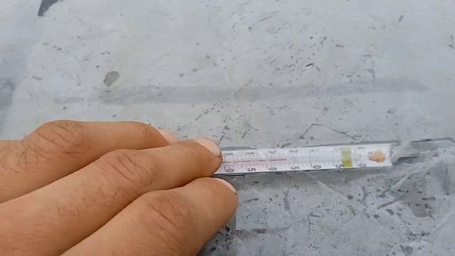 КАПУСТА ПАРЕЛ F1.ПЕРШІ СХОДИ НА 7 БЕРЕЗНЯ. смотреть онлайн