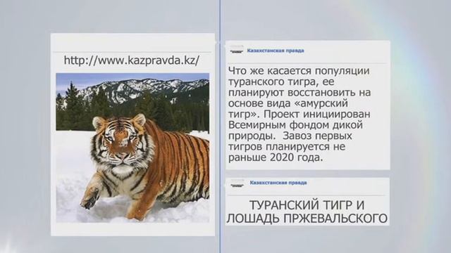 El book. Школьник из Казахстана занял первое место на фестивале русского языка в России смотреть онлайн