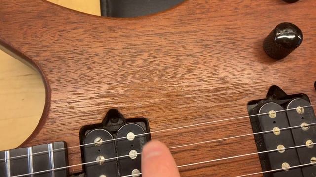 2003 Parker Nitefly M Mahogany смотреть онлайн