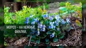 С началом весны 1 марта. Поздравление с первым днем весны. Музыкальные открытки с весной