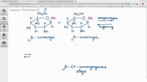 Дисахариды