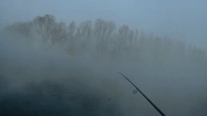 Спиннинг для джига Xesta Black Star 2nd Generation S83. Первые тесты на воде. Первые впечатления.