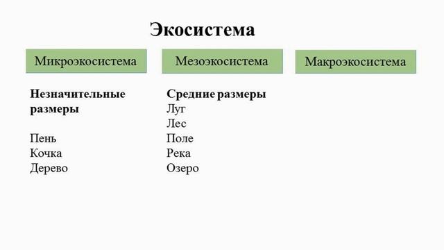 Тема 38. Экосистема. Биогеоценоз смотреть онлайн