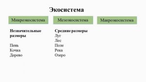 Тема 38. Экосистема. Биогеоценоз