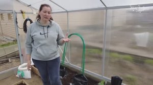 Ранние огурцы сажаем  в мусорные мешки. Новый способ получить ранний урожай зеленцов