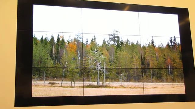 Сергей Горшков, амбассадор Nikon + Представление новой продукции Nikon смотреть онлайн