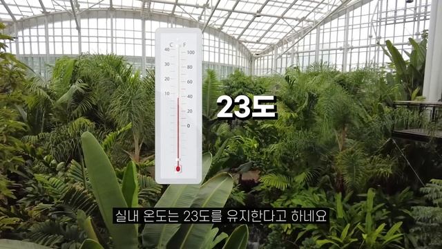 2월에 꼭! 가봐야하는 겨울 여행지 BEST 6 смотреть онлайн