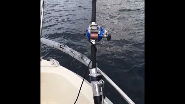 Pыбалка в Hорвегии 2020 г. с катушкой WFT Electra700Bi-motor