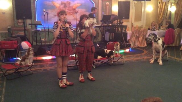 Шоу с собачками в ресторане Сказка Востока 1001 ночь смотреть онлайн