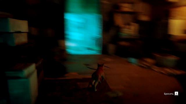Stray. Часть 1 - Бездомный котик начало пути и уже минус 1 жизнь) смотреть онлайн