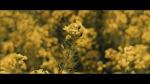 Твоя Милость _Марин и Марина Севастиян (Official Video) Христианские Песни