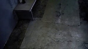 Как самому сделать камеру порошковой окраски.