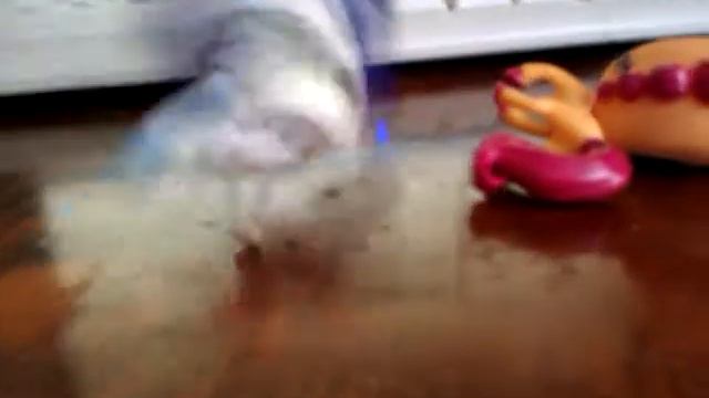 Угадай песню 5 выпуск