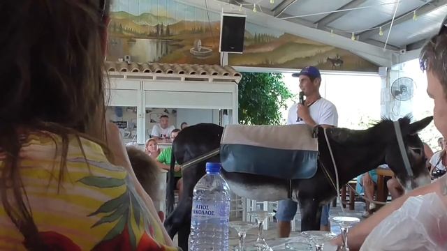 Инструкция по управлению осла или как НЕ надо запрыгивать на Ослика смотреть онлайн