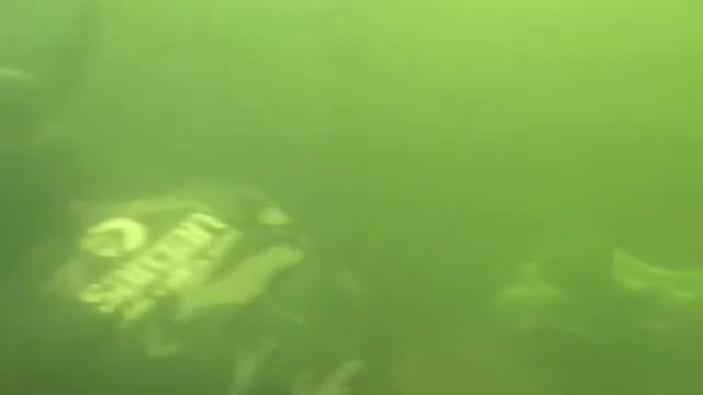 Нырялка река Ворона 2009 смотреть онлайн