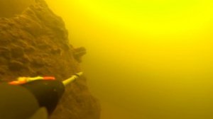 ТАКИХ НАХОДОК ЕЩЁ НЕ БЫЛО!!! НАШЕЛ МАШИНУ ПОД ВОДОЙ!!!