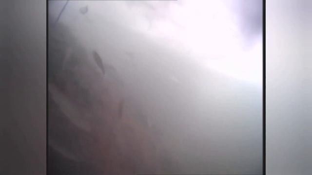 Нива сток, несток... Зимняя катка по тайге в поисках местной рыбы) Кузбасский сахар и финская Хакка смотреть онлайн