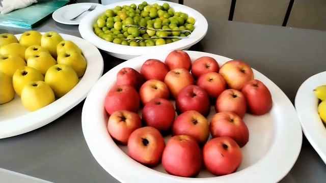 Delphin Deluxe Resort/Alania/Сезон 2023/Полный обзор/Детская концепция