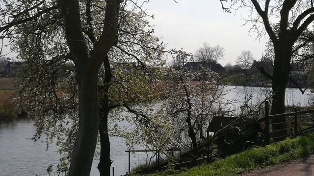 Sinta Wallur   Mata Angin Mvt 3 For String Quartet And Gamelan Ensemble