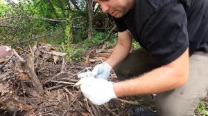 КУПИЛ ЗАБРОШЕННУЮ ДАЧУ | РАСЧИСТКА УЧАСТКА | ПРОЕКТ ВОССТАНОВЛЕНИЯ | СЕРИЯ - 3