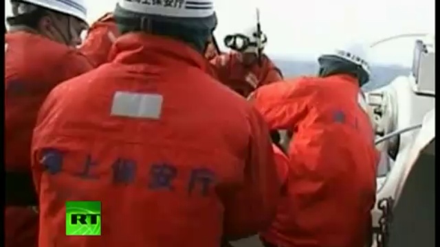 Japon : un chien sauvé 3 semaines après le tsunami смотреть онлайн