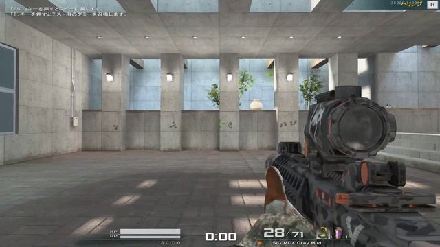 SIG MCX Grey Mud 試射動画 смотреть онлайн
