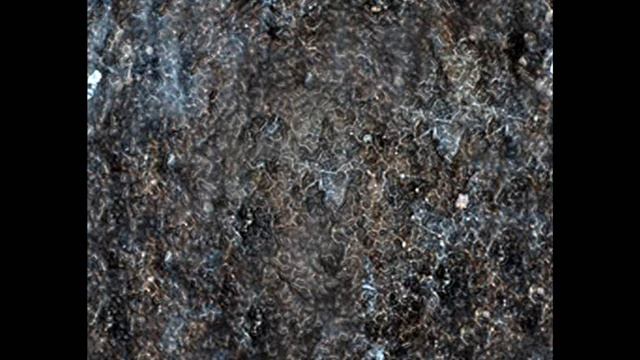 Виктор Гулик - Падают Листья.wmv смотреть онлайн