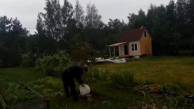 Дачный дневник. Лето 2019 г смотреть онлайн