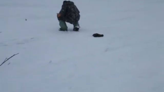 Щука есть.wmv смотреть онлайн