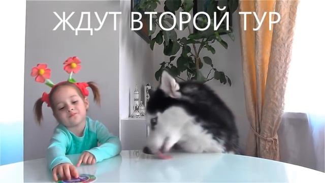 София и Фрэнк в челлендже пирог в лицо. смотреть онлайн