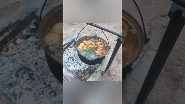 Отдых на Браславских озерах смотреть онлайн