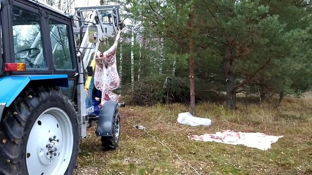 Зима будет большая...про уборку картошки, заготовку сена... смотреть онлайн