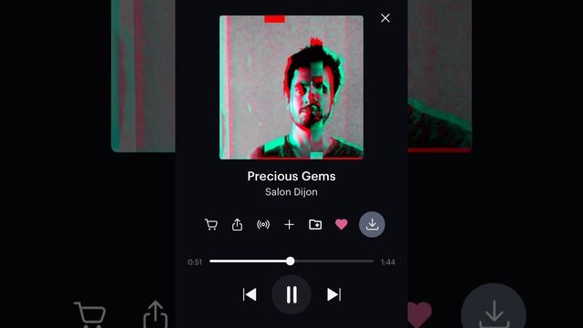 Precious Gems By Salon Dijon