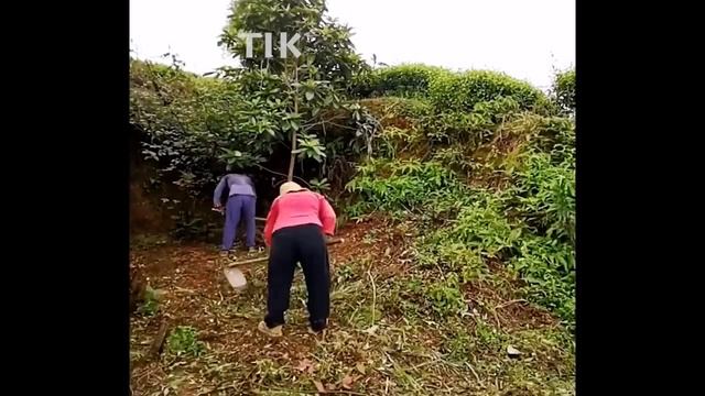 The girl left the city to return to her hometown to renovate her old house - Renovation old houses смотреть онлайн
