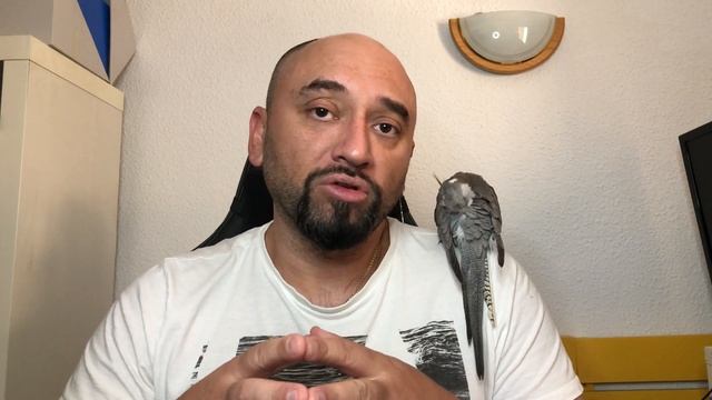 Татуировочная галерея мастеров