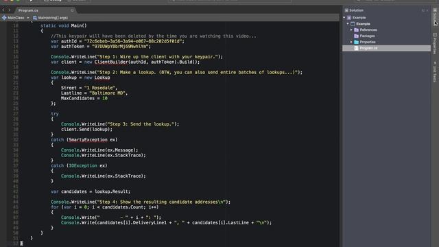 Getting started with the Smarty .NET SDK API смотреть онлайн