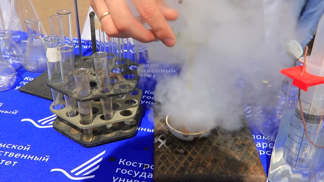 Костромской государственный университет представил свои обновленные возможности