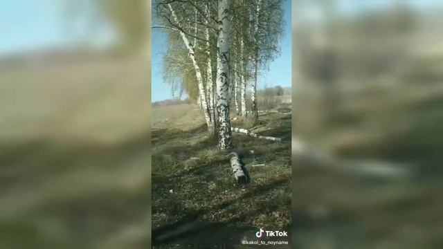 Снял ПАНОРАМУ своих ОКРАИН в ТикТок. смотреть онлайн