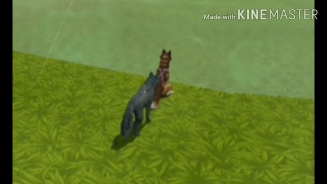 Страшилка вилд крафт "Не ходите на речку вечером" ч. 1 смотреть онлайн