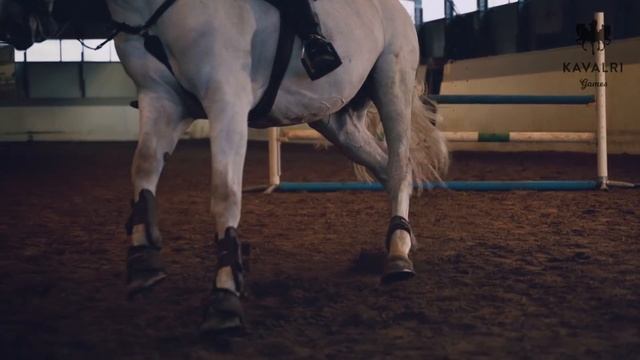 Equestrian the Game vision statement смотреть онлайн