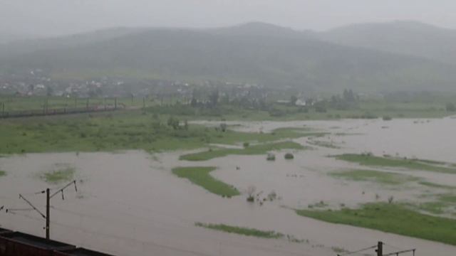 Песчанка Чита тонет смотреть онлайн