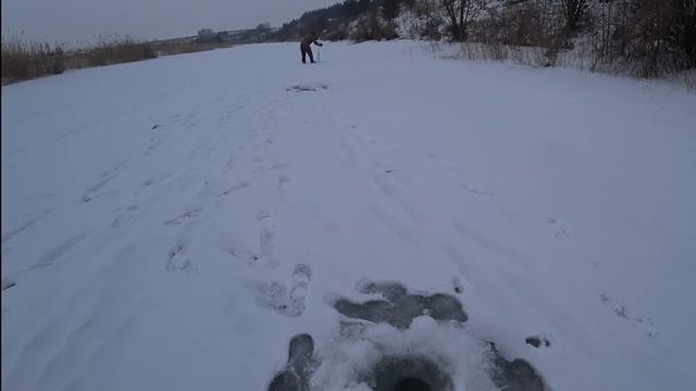 Оставил жерлицы на ночь и понеслось!!! Тут скопилась щука/ Не успеваю проверять. смотреть онлайн