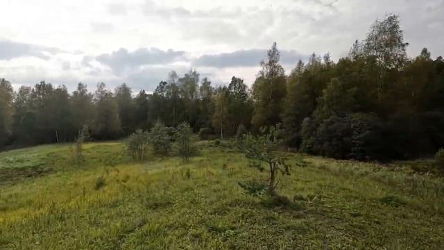 Реальный обзор квадроцикла CFMOTO CFORCE 400L EPS 800км, покатушки, тест на скорость