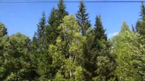 Живописная природа Урала