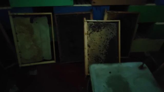 Хранения Суши без МОЛИ смотреть онлайн