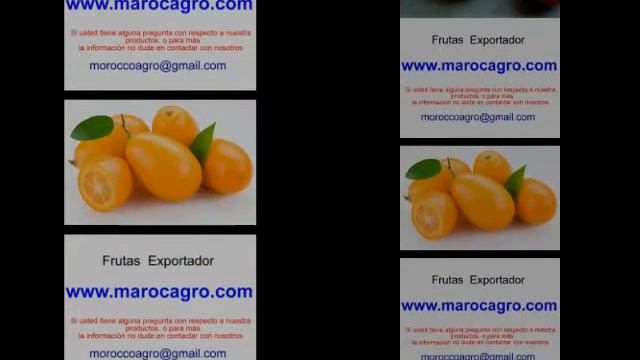 Fortunella exportador proveedor frutas frescas Marruecos смотреть онлайн