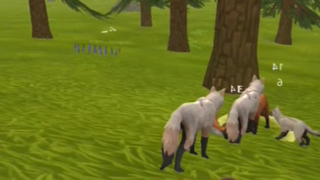 Семья волков! Wild craft! 🐫😉🐺 смотреть онлайн