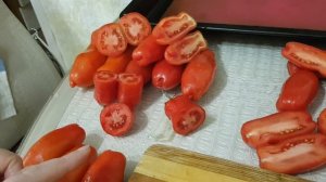 Томат Веселый гном и Дрова красные. Сравнение.