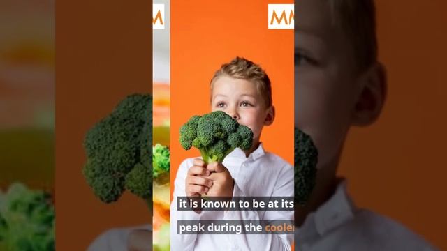 Cooking Broccoli In 2023 | Health Life @macclite