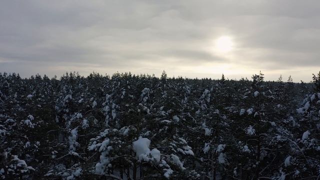 26 февраля- ПРОЩЁНОЕ ВОСКРЕСЕНЬЕ. Что нельзя делать в Прощёное Воскресенье. Народные традиции. смотреть онлайн